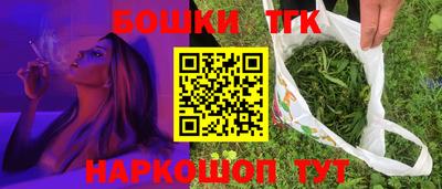стаф Лесосибирск