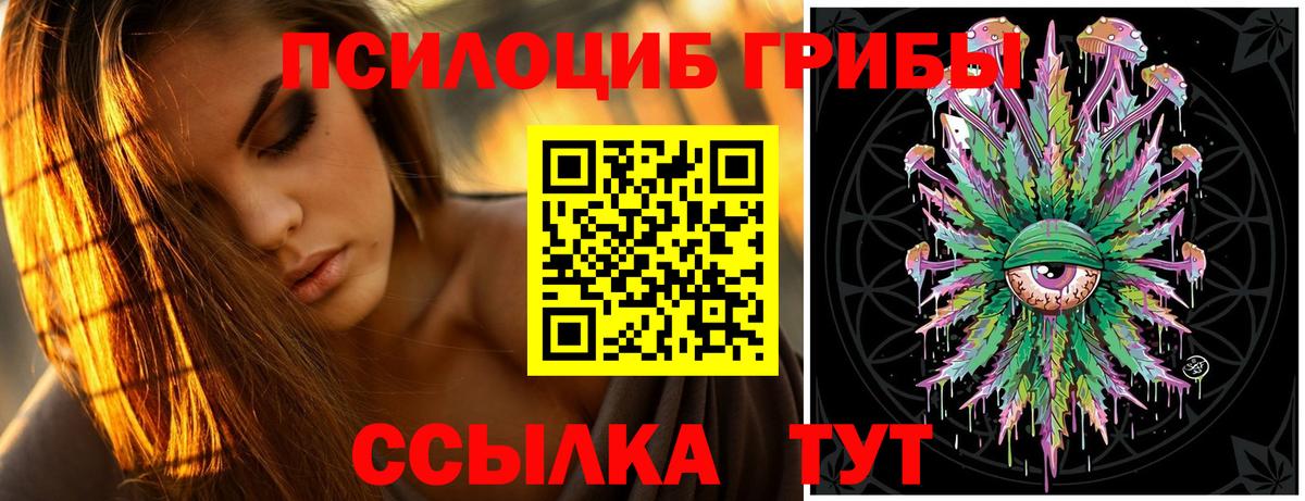 Галлюциногенные грибы Cubensis Городец